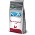 Farmina® Vet Life Gastrointestinal Feline (2kg)