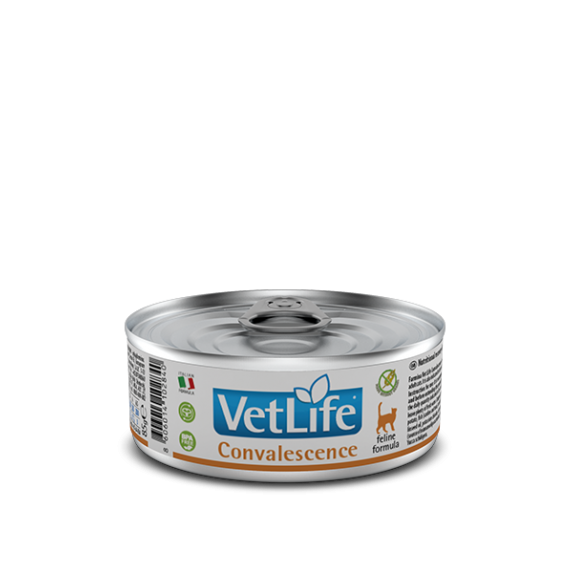 Farmina® Vet Life Convalescence Wet Food Feline (12 Can)